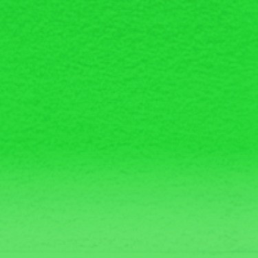 SHAMROCK SHAMROCK